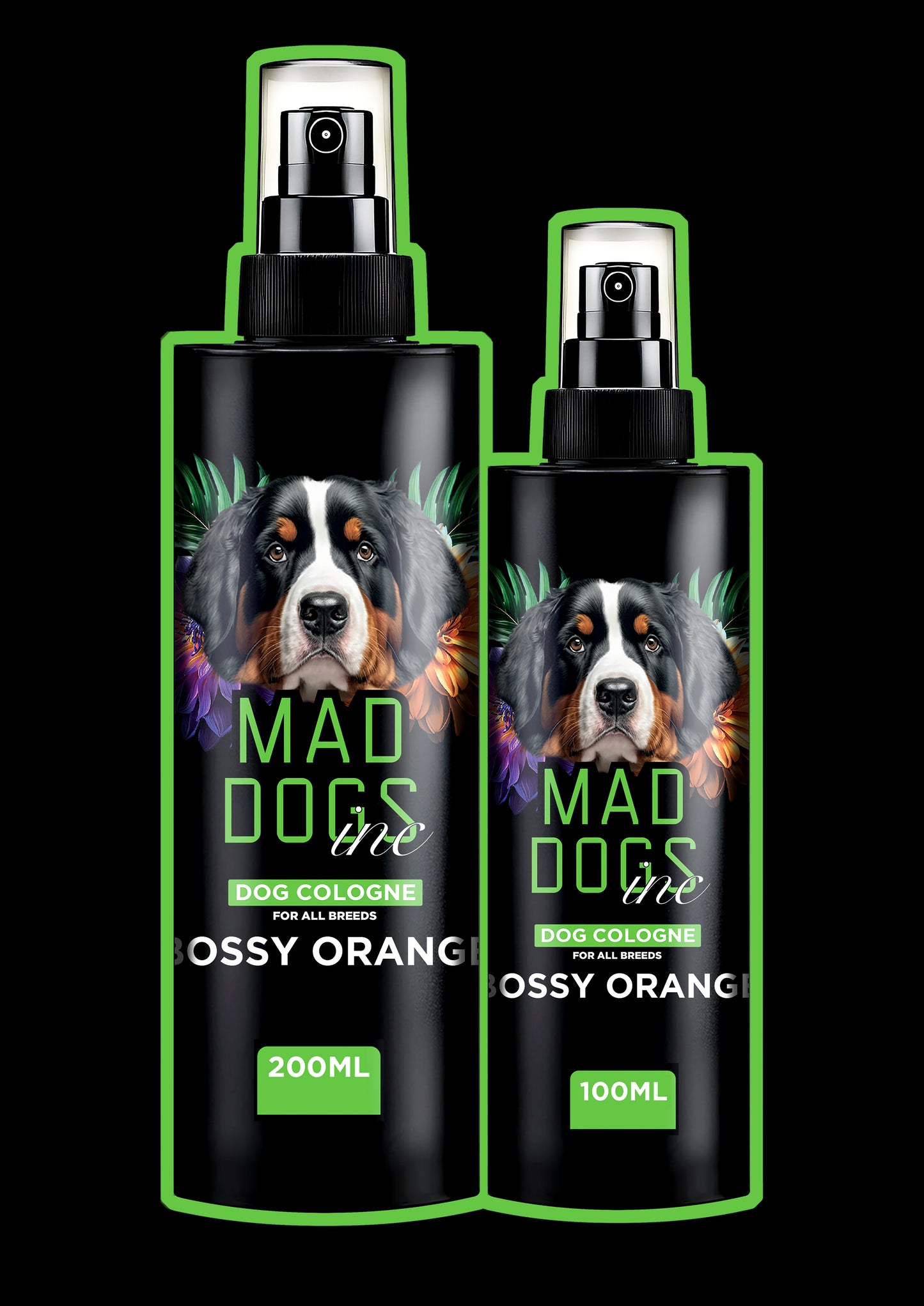 Bossy Orange Dog Cologne